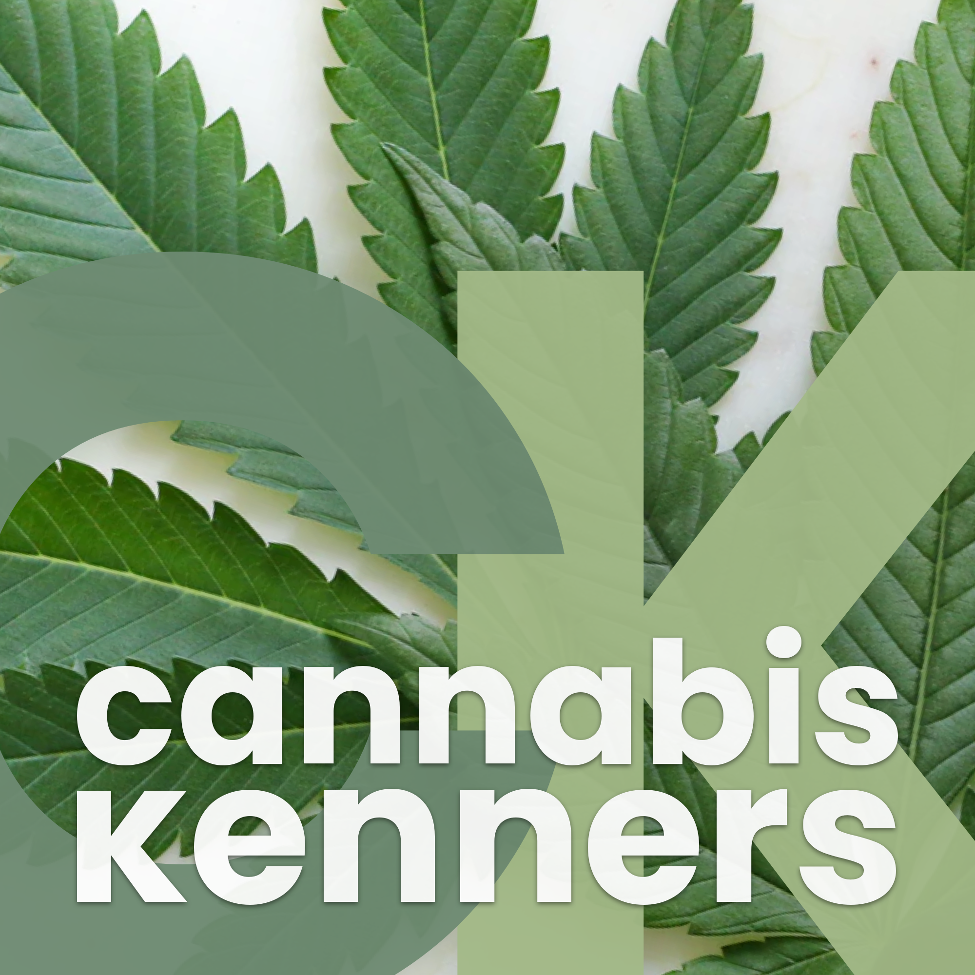 CannabisKenners logo